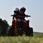 DAV_0211
